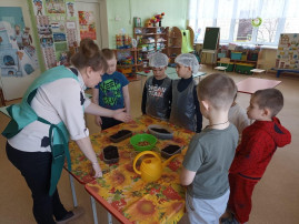 Дошколята сажают лук Дошколята сажают лук.