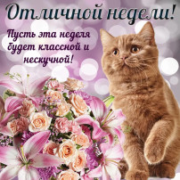Пожелания от «Рябинки» Пожелания от «Рябинки».