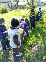 День одуванчика в «Рябинке» День одуванчика в «Рябинке».