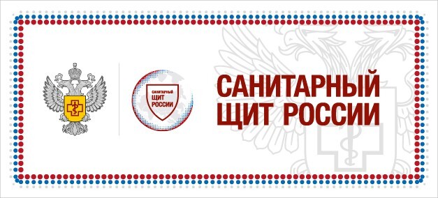 Федеральный проект «Санитарный щит-безопасность для здоровья» Федеральный проект «Санитарный щит-безопасность для здоровья».