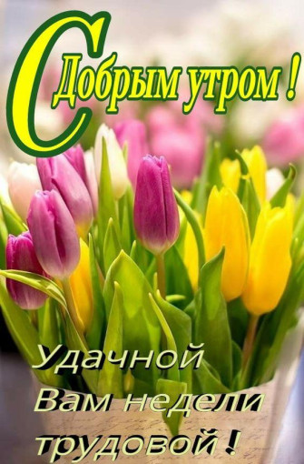 Пожелания от «Рябинки» Пожелания от «Рябинки».